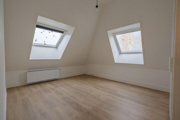 Foto 48 – Drachtster Heawei 96, De Wilgen