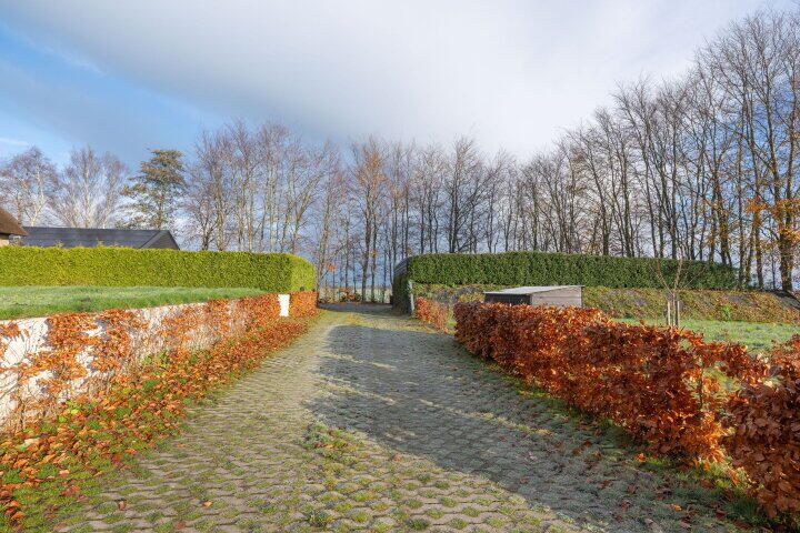 Foto 52 – Drachtster Heawei 96, De Wilgen