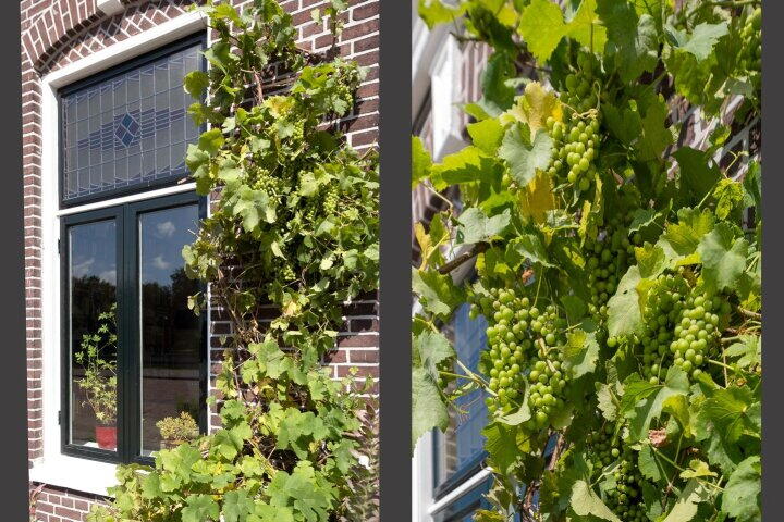 Foto 6 – Eemskanaal 20, Groningen