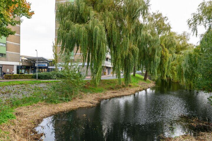 Foto 36 - Eesterwaard 90, Zoetermeer