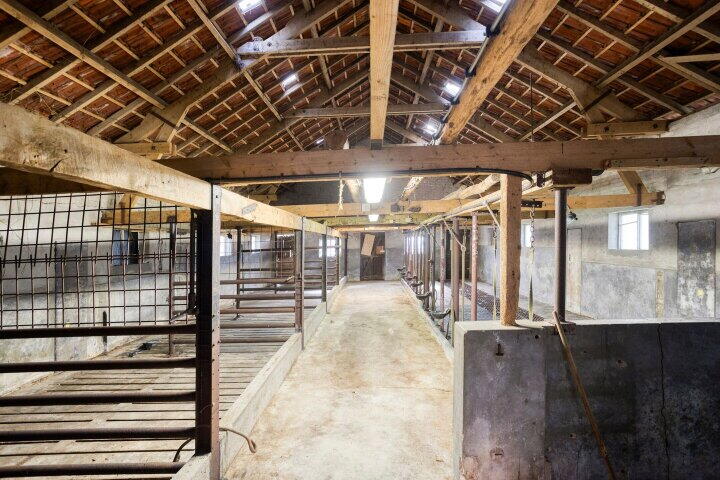 Foto 34 – Egelpad 11, Wijchen