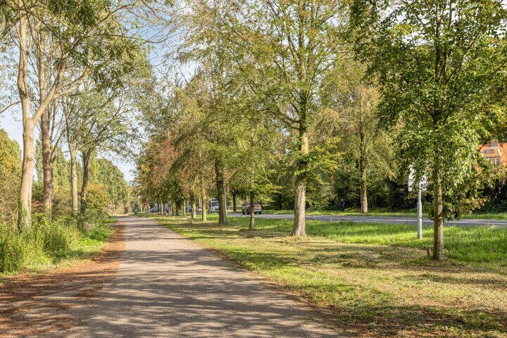Foto 46 – Egelpad 11, Wijchen
