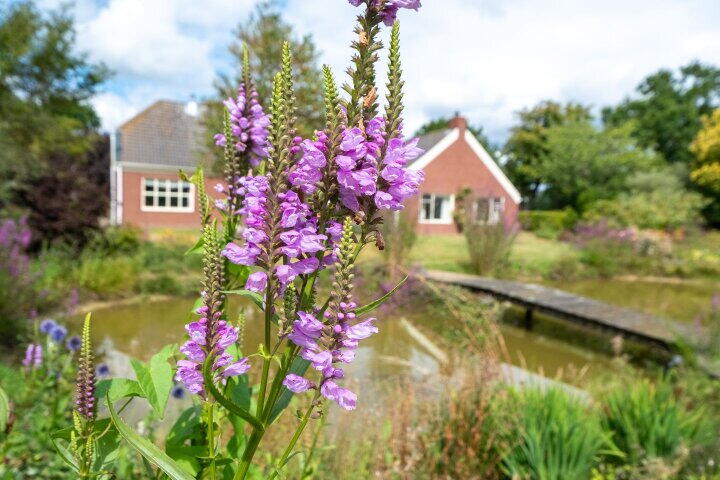 Foto 54 – Elzepad 6, Boerakker