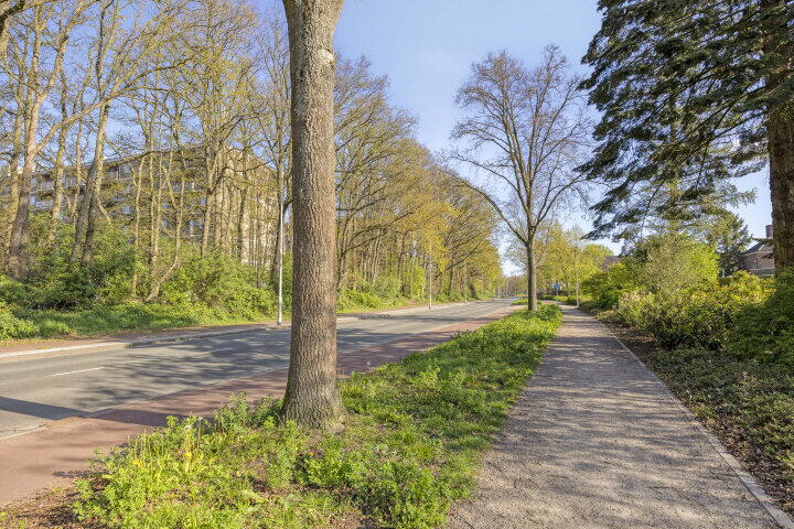 Foto 48 - Ericastraat 32, Roosendaal