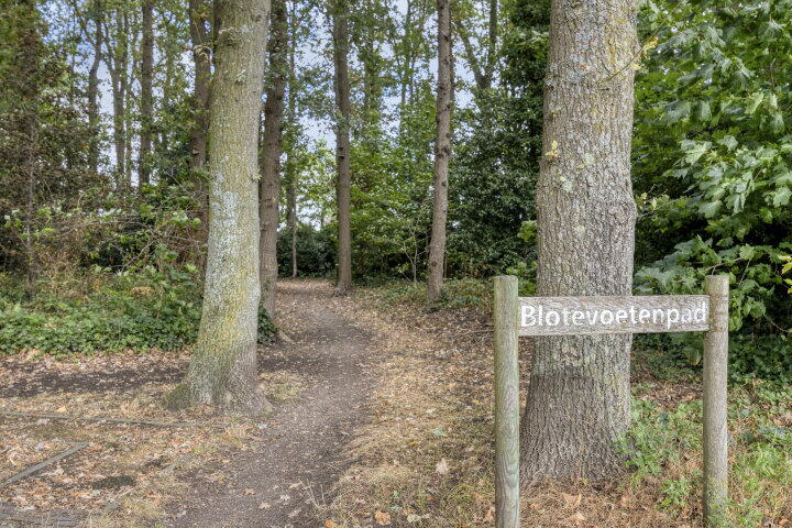 Foto 55 – Flamingostraat 7, Nispen