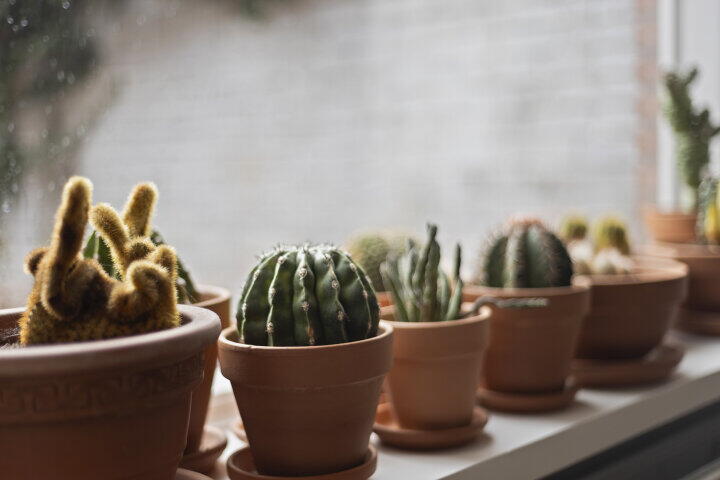 Foto 16 - Fortuinstraat 14, Roosendaal