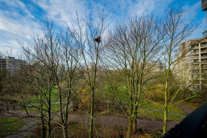 Foto 17 - Groenhoven 227, Amsterdam