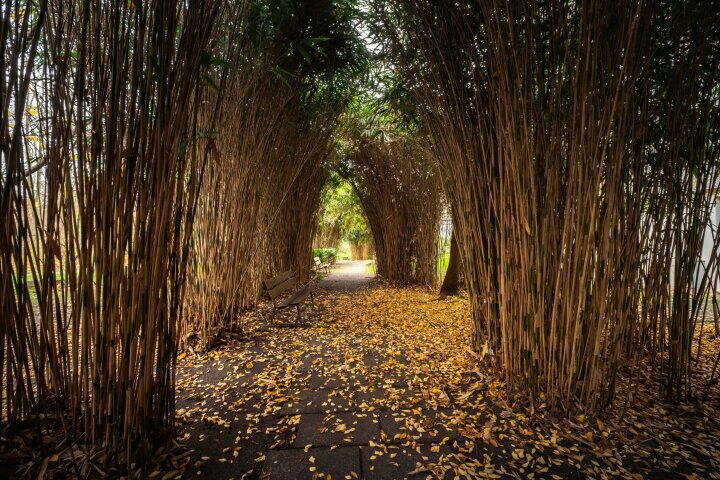 Foto 29 - Groenhoven 227, Amsterdam