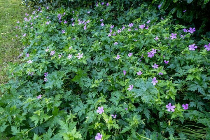 Foto 55 - Halbe Wiersemaweg 12, Niebert