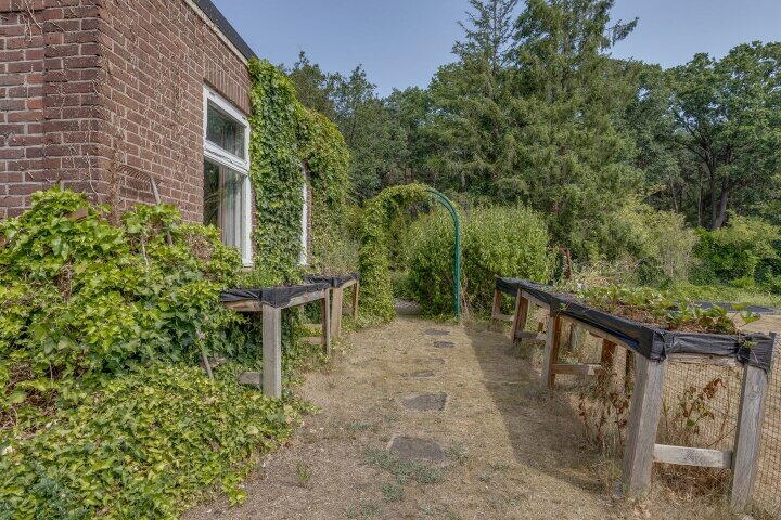 Foto 38 – Halseweg 41, Halle