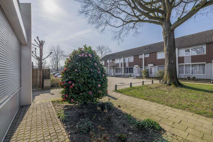 Foto 39 - Heilige Stoel 4602, Wijchen