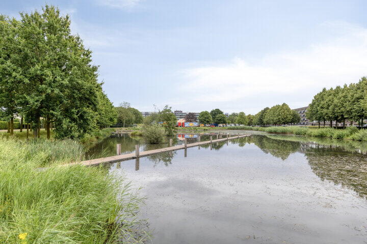 Foto 28 – Heivlinder 23, Breda