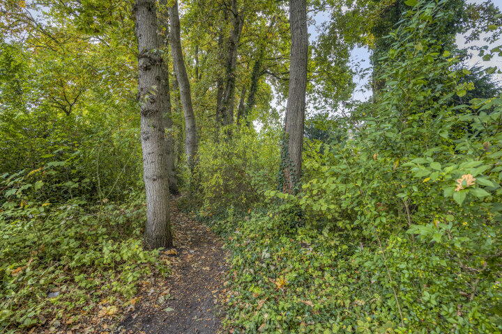 Foto 50 - Heliotroopdijk 132, Roosendaal