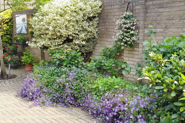 Foto 37 - Hendrik de Vroomestraat 1, Steenwijk