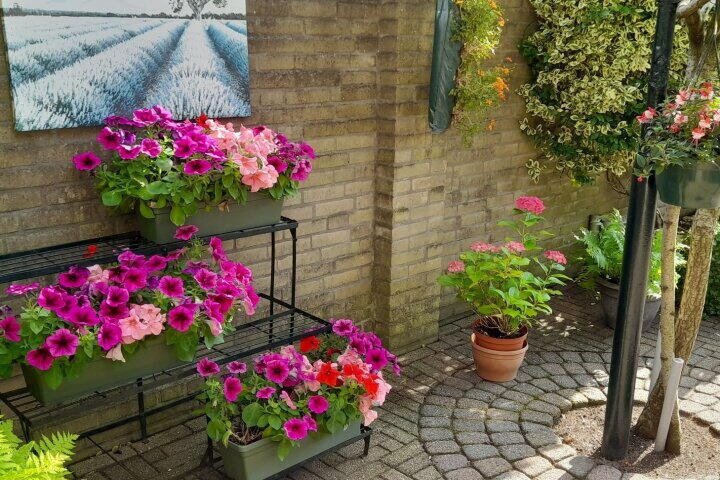 Foto 39 - Hendrik de Vroomestraat 1, Steenwijk