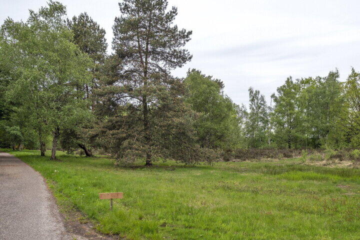 Foto 44 - Hendrik Reindersweg 28 116, Pesse