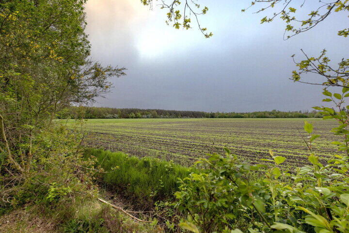 Foto 45 - Hendrik Reindersweg 28 116, Pesse