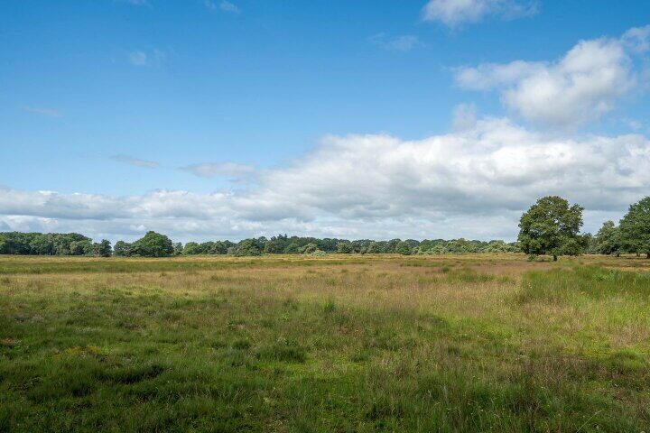 Foto 40 – Hendrik Reindersweg 28 83, Pesse