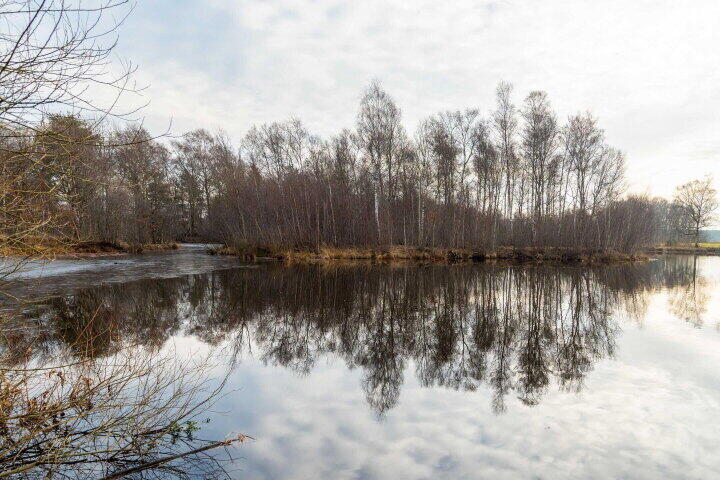 Foto 50 – Hendrik Reindersweg - 2883, Pesse (Gem. Hoogeveen)