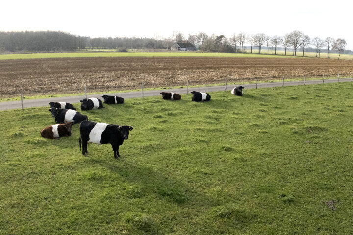 Foto 26 - Hendrik Reindersweg 28 91, Pesse