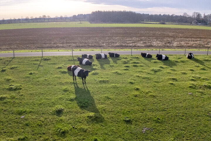 Foto 27 - Hendrik Reindersweg 28 91, Pesse