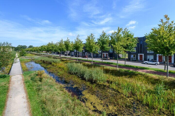 Foto 47 - Henriëtte Roland Holstweg 14, Heerenveen