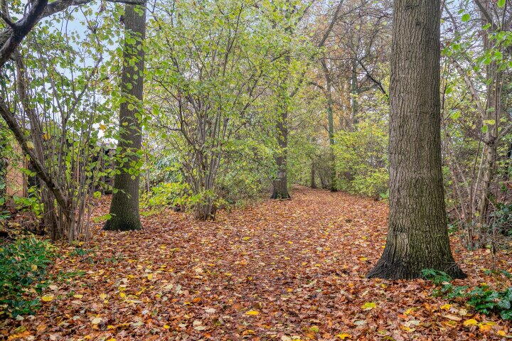 Foto 38 - Het Erf 145, Biddinghuizen