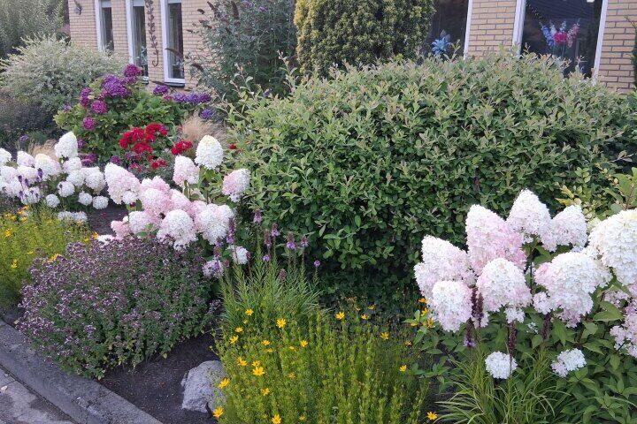 Foto 47 - Het Gebient 8, Tolbert