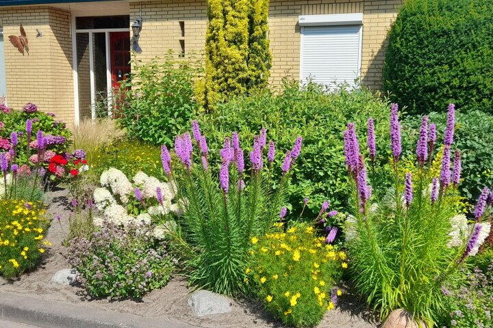 Foto 48 - Het Gebient 8, Tolbert