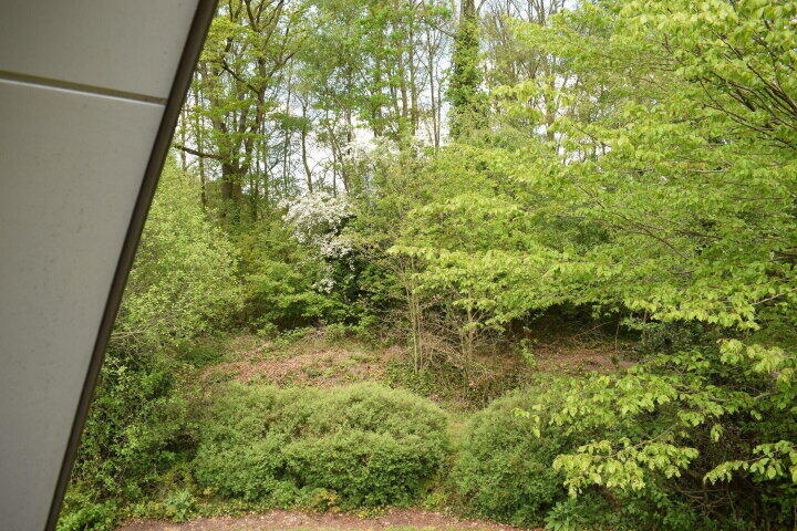 Foto 11 - Het Zwiggelterveld 48, Zwiggelte