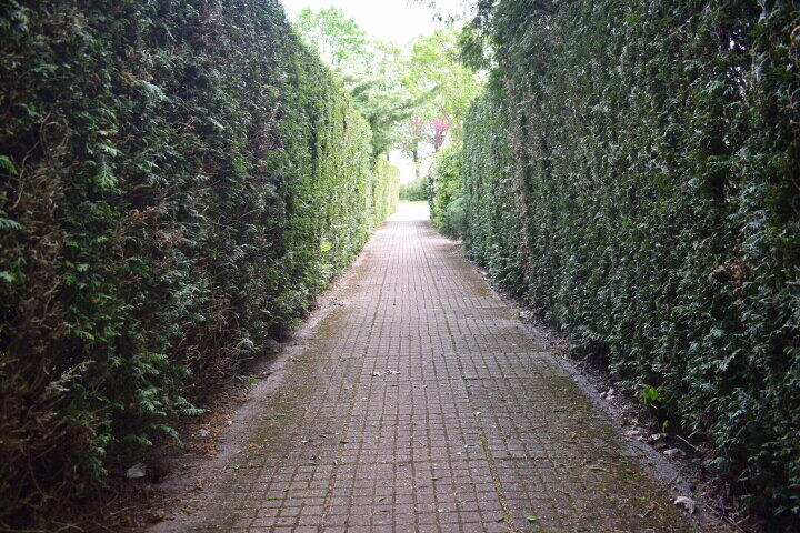 Foto 14 - Het Zwiggelterveld 48, Zwiggelte