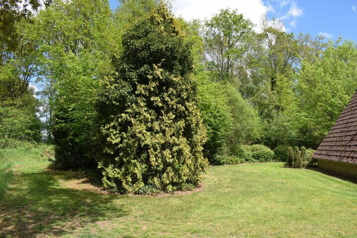Foto 23 - Het Zwiggelterveld 48, Zwiggelte