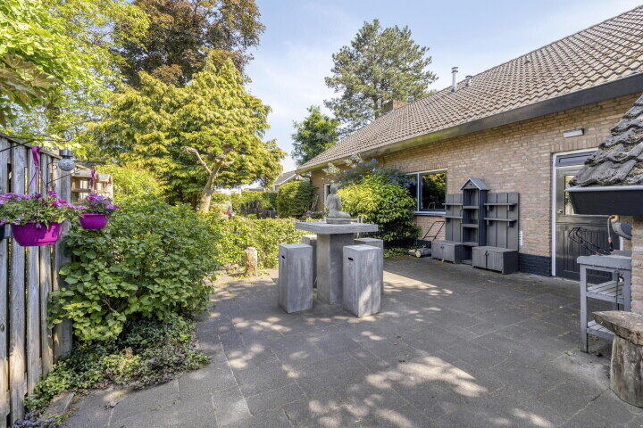 Foto 59 – Hoge Aard 3, Schijf