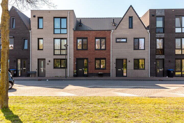 Foto 1 - Hollandse linde 12, Lelystad
