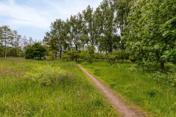 Foto 42 – Holtgesbroek 1004, Nijmegen