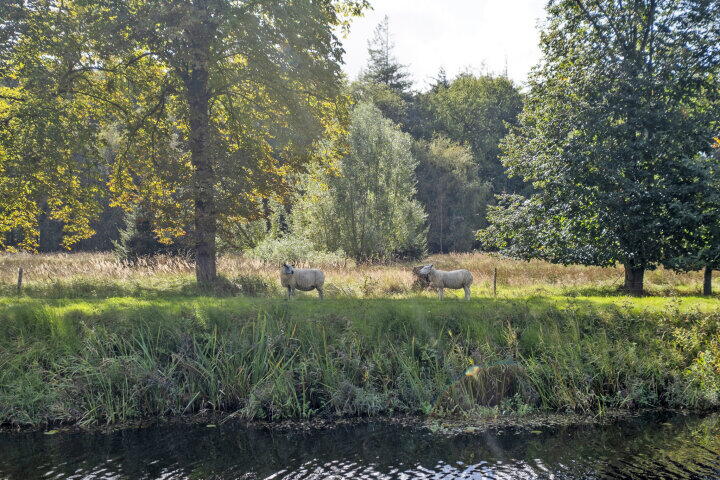 Foto 78 – Hoofdweg 18, Veenhuizen