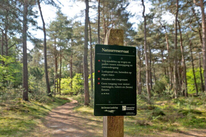 Foto 47 – Hoogte der Heide 10 2, Gasselte