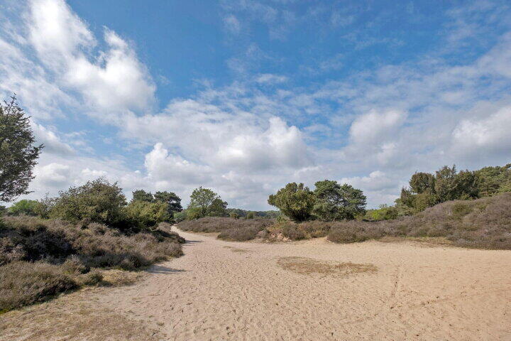 Foto 48 – Hoogte der Heide 10 2, Gasselte