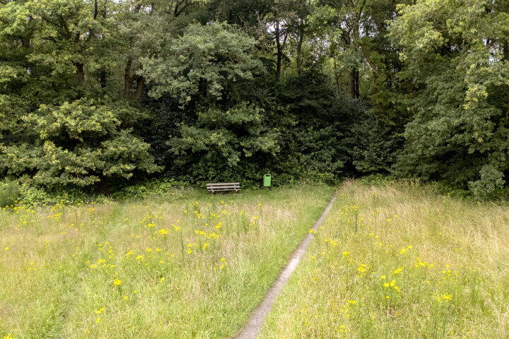 Foto 57 – Houtlaan 117, Assen