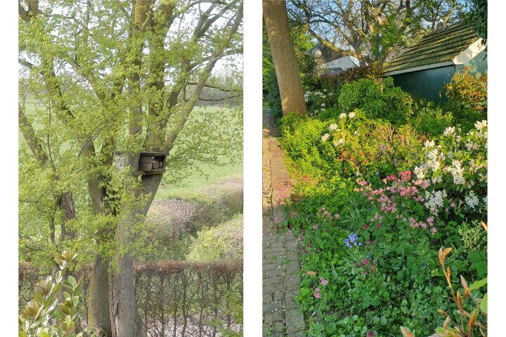 Foto 28 - Houtsestraat 16 A, Balgoij