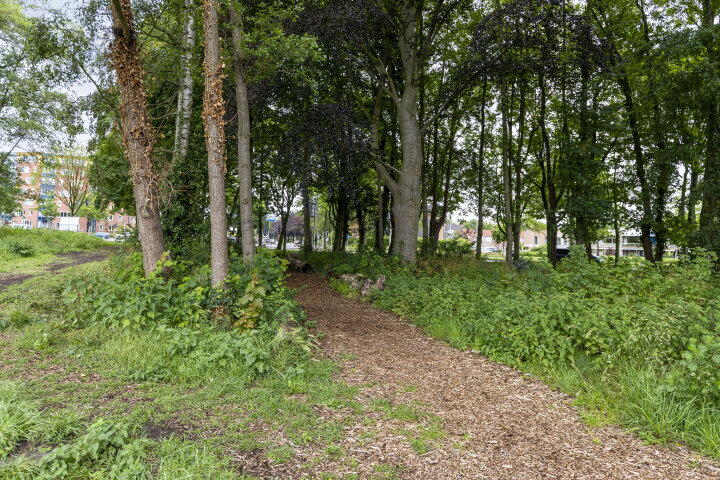 Foto 28 – Hulsdonksestraat 31 A, Roosendaal