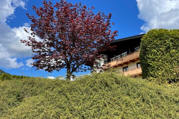 Foto 6 - Hüttau , HÜttau