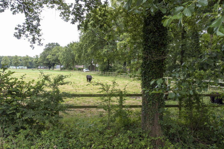 Foto 54 – Jan Luikenstraat 40, Hengelo