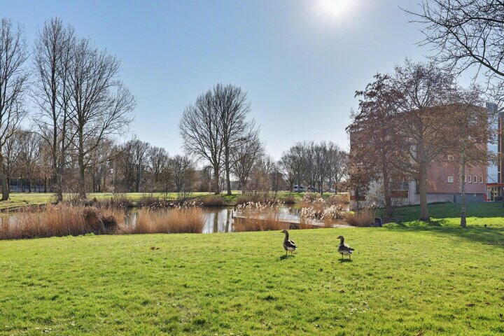 Foto 26 - Josine Reulinglaan 29, Vlissingen