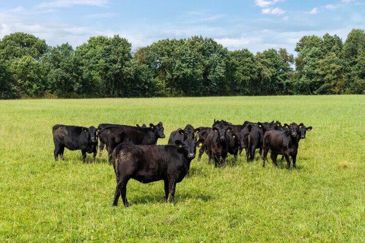 Foto 80 - J.P. Santeeweg 116, Nietap