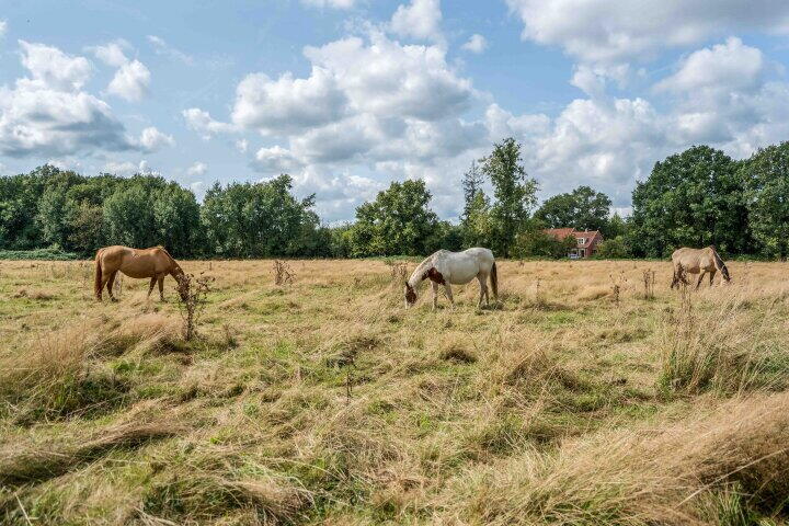 Foto 81 - J.P. Santeeweg 116, Nietap