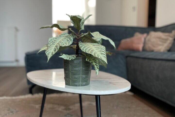 Foto 5 - Julianalaan 4, Beek