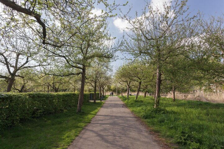 Foto 38 - Kamerlingh Onneslaan 26, Amsterdam