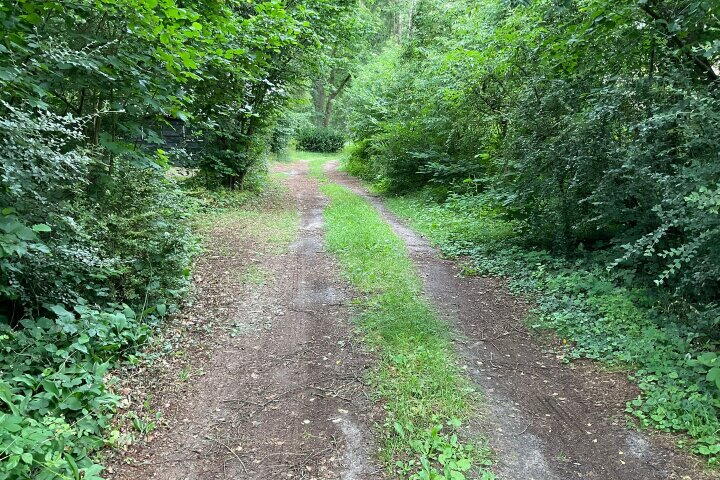 Foto 15 – Kamplaan 2 c, Gasselte