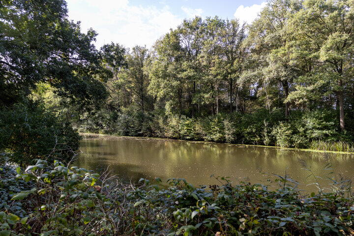 Foto 37 – Kanaal O.Z. 9 52, Drijber